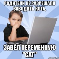 родители не разрешали заводить кота, завёл переменную "cat"