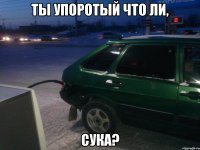 ты упоротый что ли, сука?