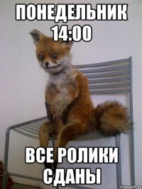 понедельник 14:00 все ролики сданы