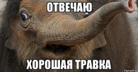 отвечаю хорошая травка