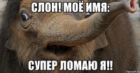 слон! моё имя: супер ломаю я!!