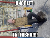 виолетт! ты гавно!!!