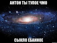 антон ты тупое чмо сыкло ебанное