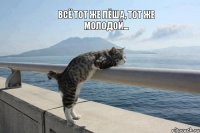 всё тот же Лёша, тот же молодой...