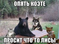 опять коэте просит что то лисы