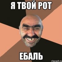 я твой рот ебаль