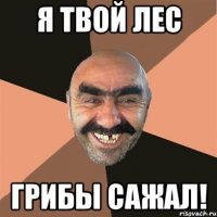 я твой лес грибы сажал!