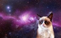 Создать мем grumpy cat space