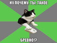 ну почему, ты, такое бревно!?