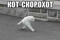 кот-скорохот 