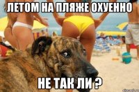 летом на пляже охуенно не так ли ?