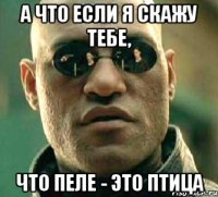 а что если я скажу тебе, что пеле - это птица