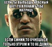 если ты выпьешь красный шот, то я покажу тебе матрицу. если синий,то очнёшься только утром и то не дома.