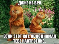 даже не ври если этот кот, не поднимал тебе настроение..