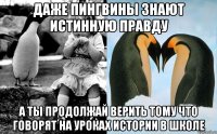 даже пингвины знают истинную правду а ты продолжай верить тому что говорят на уроках истории в школе