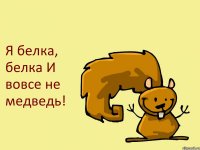 Я белка, белка И вовсе не медведь!