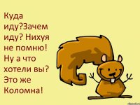 Куда иду?Зачем иду? Нихуя не помню! Ну а что хотели вы? Это же Коломна!