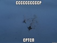 сссссссссср сртсп