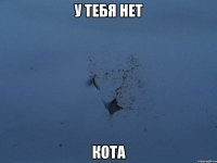 у тебя нет кота