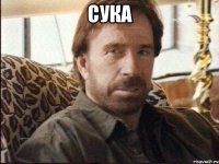 сука 