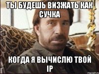 ты будешь визжать как сучка когда я вычислю твой ip