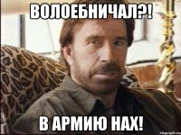 волоебничал?! в армию нах!