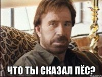  что ты сказал пёс?