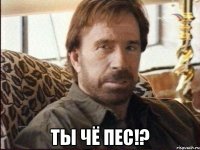  ты чё пес!?