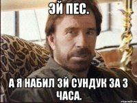эй пес. а я набил 3й сундук за 3 часа.