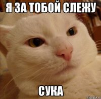 я за тобой слежу сука