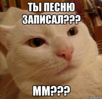 ты песню записал??? мм???