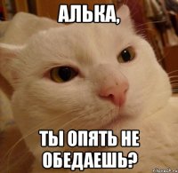 алька, ты опять не обедаешь?