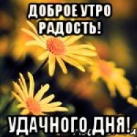 доброе утро радость! удачного дня!