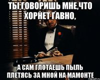 ты говоришь мне,что хорнет гавно, а сам глотаешь пыль плетясь за мной на мамонте