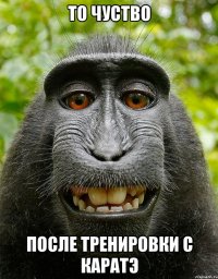 то чуство после тренировки с каратэ