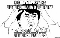 в сша марихуана легализована в 2 штатах секс с лошадьми легализован в 23