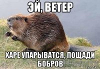 эй, ветер харе упарыватся, пощади бобров