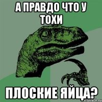 а правдо что у тохи плоские яйца?