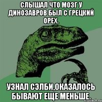 слышал что мозг у динозавров был с грецкий орех. узнал сэлби,оказалось бывают еще меньше.