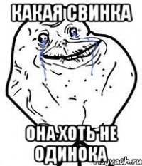 какая свинка она хоть не одинока