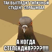 так выглядит типичный студент спрашивая а когда степендия???!!!