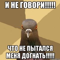 и не говори!!! что не пытался меня догнать!!!