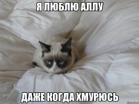 я люблю аллу даже когда хмурюсь