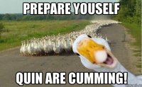 prepare youself quin are cumming!