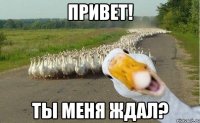 привет! ты меня ждал?