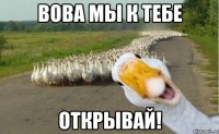 вова мы к тебе открывай!