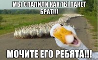 мы спалили как ты пакет брат!!! мочите его ребята!!!