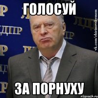 голосуй за порнуху