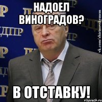 надоел виноградов? в отставку!