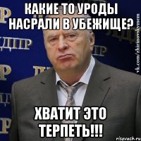 какие то уроды насрали в убежище? хватит это терпеть!!!